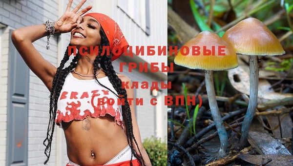 хмурый Вязники
