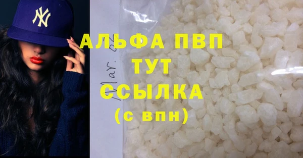 индика Котовск