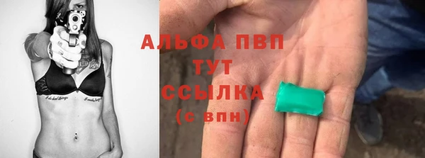 спиды Вяземский
