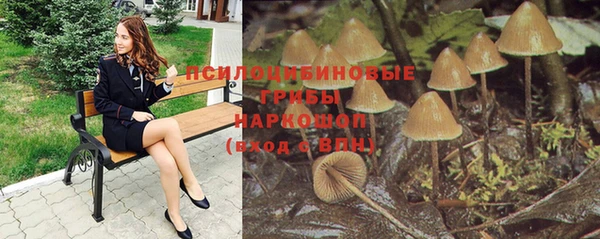не бодяженный Дмитров