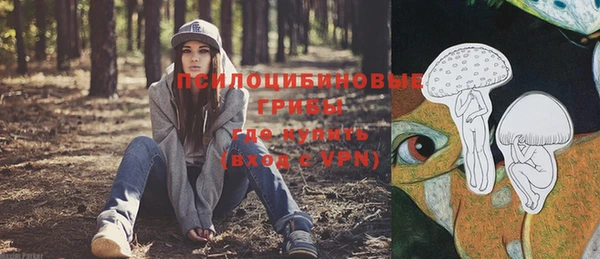 спиды Вяземский