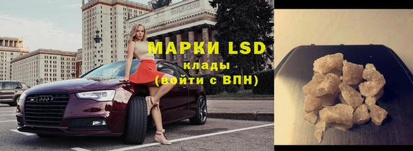 спиды Вяземский
