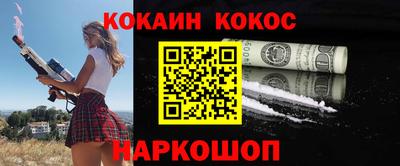 стафф Гатчина