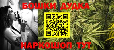 стафф Гатчина