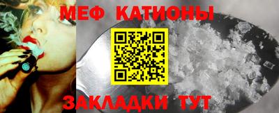 стафф Гатчина