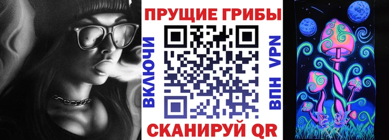 Галлюциногенные грибы GOLDEN TEACHER  магазин продажи   Джанкой 