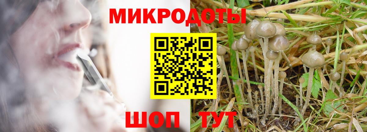 Галлюциногенные грибы Magic Shrooms Джанкой